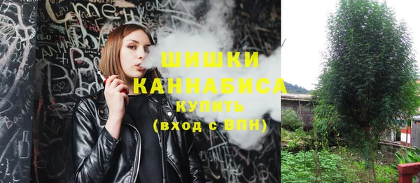 твердый Верхний Тагил