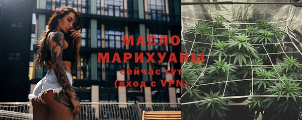 твердый Верхний Тагил