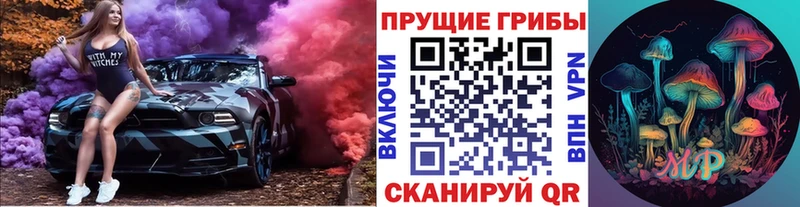 Псилоцибиновые грибы GOLDEN TEACHER Таганрог