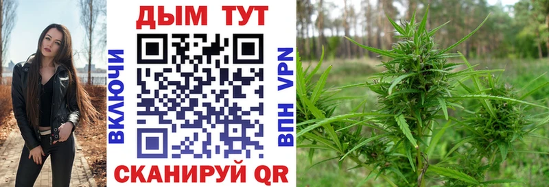 Купить где  Таганрог  Бошки Шишки MAZAR 